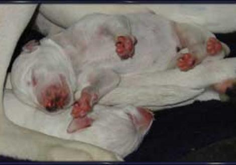 ...beste Schlafposition! (1. Tag)