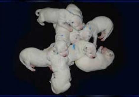 alle Acht auf einen Streich! (6. Tag)