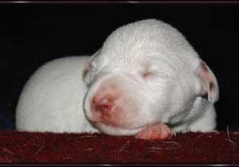 unser süßes braunes Mädel (6. Tag)