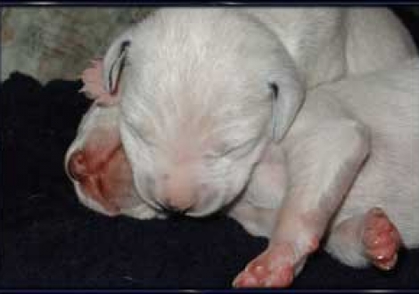 Kuscheln unter Bruder & Schwester!!! (6. Tag)