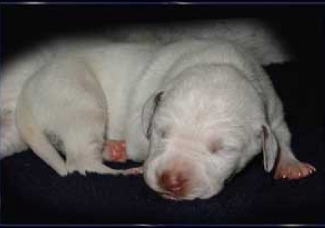 ...und ich bin sein brauner Bruder! (6. Tag)