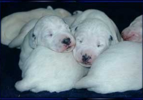 wir zwei sind aber auch echte Kerle! (7. Tag)