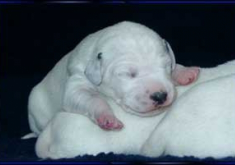 ich möchte nochmal einzeln! (7. Tag)