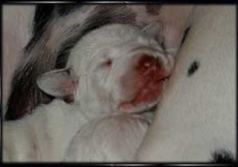 ... mmmhhh ist das schön! (6. Tag)