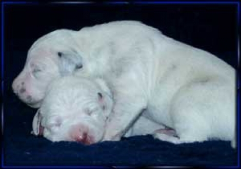 Liebe unter Schwestern! (7. Tag)