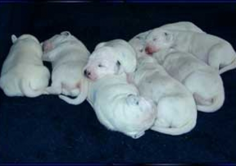 ...jetzt nochmal alle gemeinsam! (7. Tag)