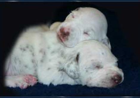 Supergemütliche Kopfstütze!