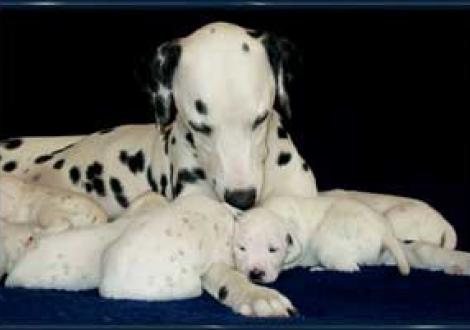 fürsorgliche Mama Jameela!