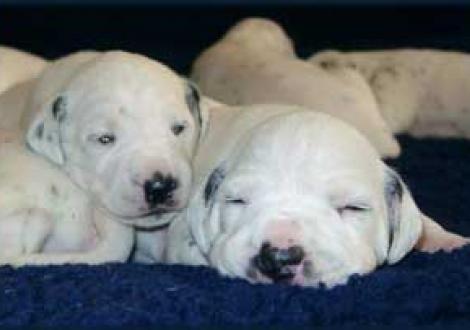 ...mein Gott, ist das ne Schlafmütze!