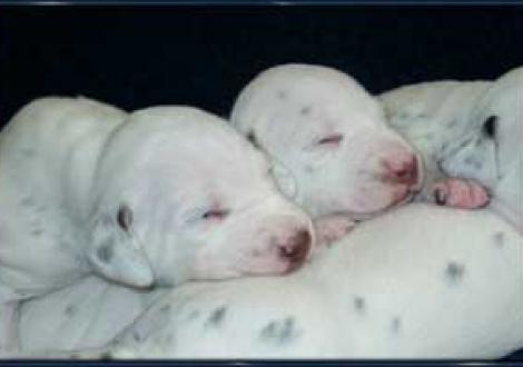 Schokobruder mit Schokoschwester!!!