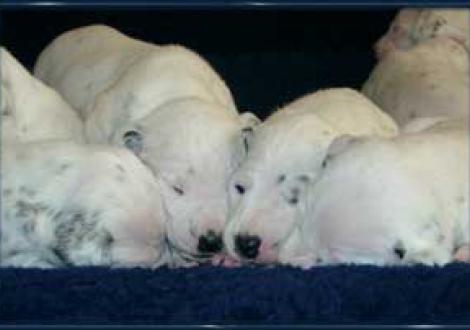 ...was die Vier da wohl aushecken?