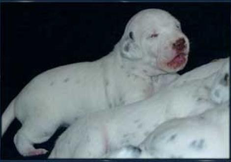 ...na denn, bis nächste Woche!!!