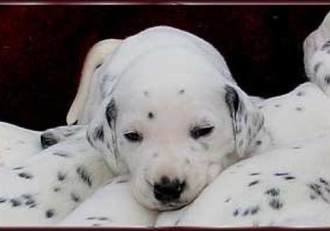 ... und ich heiße jetzt Montazaar!