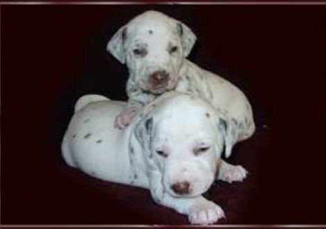 besiegt!!! (Marlow & Maycoun)