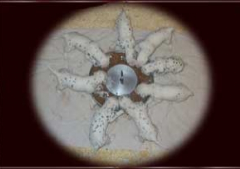 Raubtierfütterung, haben wir uns echt verdient!