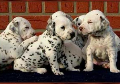 Moranah-Mahea, Hd-sw & Maycoun