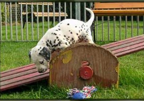 Die Wippe hab ich auch schon gemeistert! (Montana)