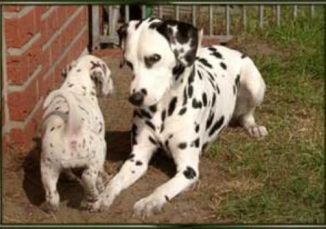 Moranah-Mahea mit Cousine Sunny