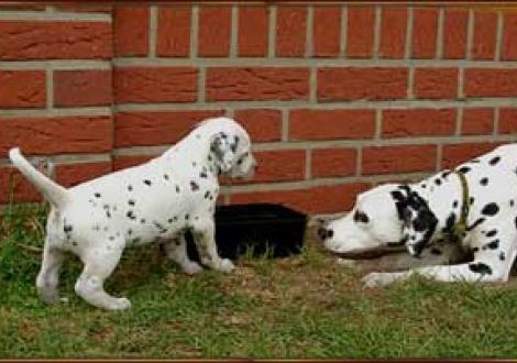 mit wem spiele ich bloß zuerst? (Sunny & Moafez)