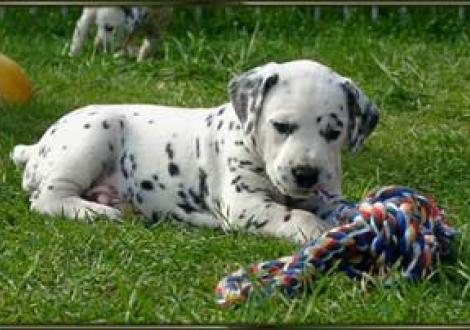 hier gibt's viel zu entdecken! (Maceem)