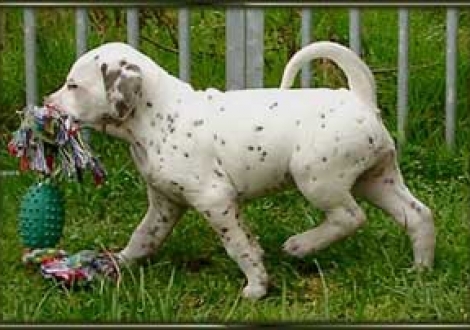 bin ganz stolz, hab auch was gefunden! (Maycoun)