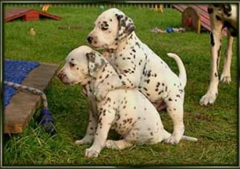 ich laß mir mal den Nacken massieren! (Moranah & Maceem)