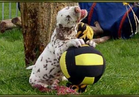 wie krieg ich den bloß ab? (Marlow)