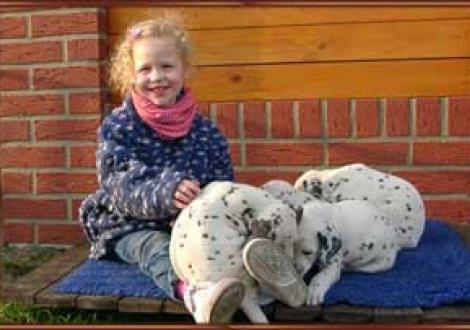 die kleine Ina beim Welpenknuddeln!