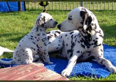 Hallo Oma Alissia! (Maceem mit Alissia)