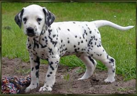 Unsere kleine Prinzessin! (Montana)