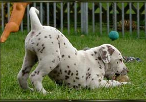 Jippiiiiieee, ich hab dich! (Moranah)