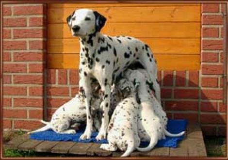 Mama's Milch schmeckt immer noch!!!