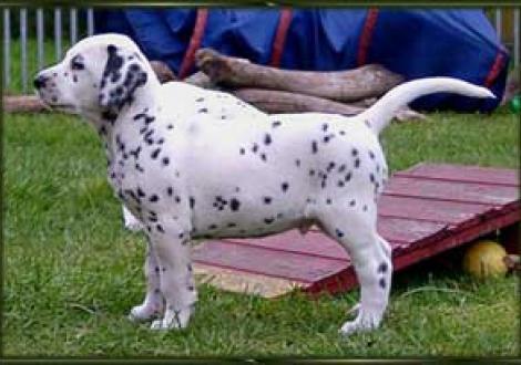 in voller Breitseite! (Montazaar)