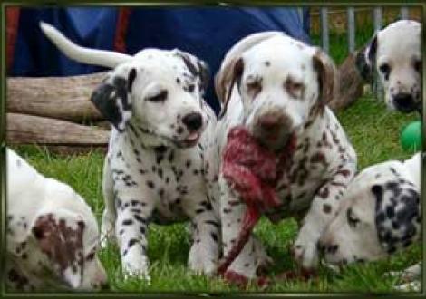 Hey, lass mich auch mal! (Maceem & Marlow)