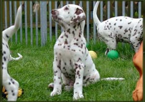 was ist das denn, muss ich haben! (Moranah)