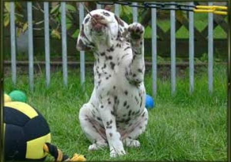 ...jetzt hab ich dich! (Moranah-Mahea)