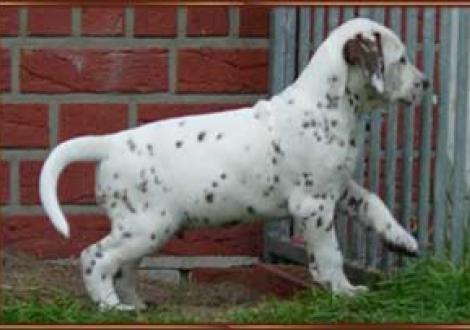 ist ja wie im Knast hier! (Maycoun)