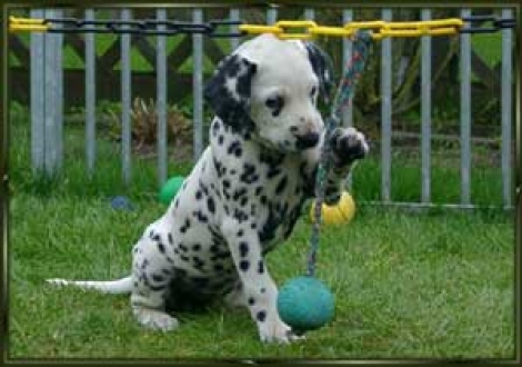 ...hey, wer bist du denn? (Montana)