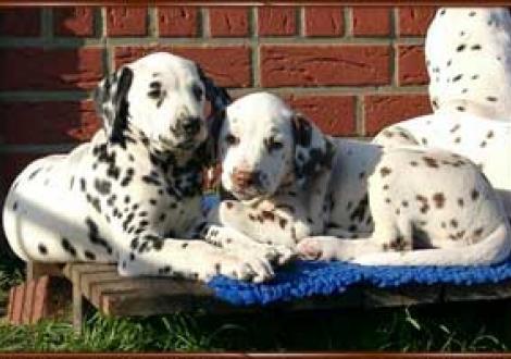 Majanah & Moranah-Mahea