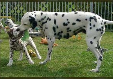 ...du entkommst mir nicht! (Jameela & Marlow)