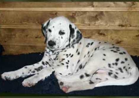 erst mal ein bisschen relaxen! (Montazaar)