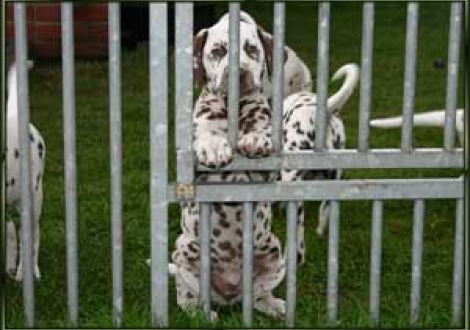 Ich will endlich raus aus dem Knast!!! (Marlow)