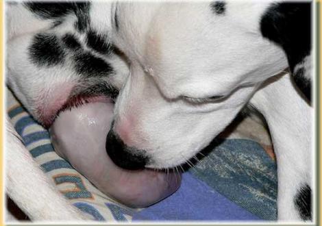 ...jetzt ist die Hälfte draussen! (Nepal vom Teutoburger Wald)