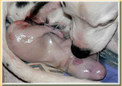 ...na also, jetzt aber schnell auspacken! (Nepal vom Teutoburger Wald)