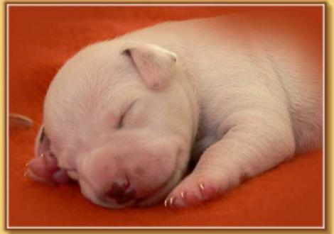 Nepal vom Teutoburger Wald