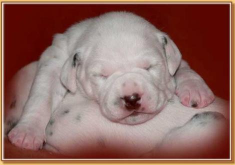 Nepal vom Teutoburger Wald