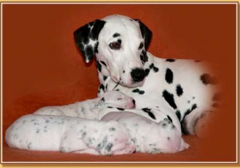 stolze Mama Jameela vom Teutoburger Wald!