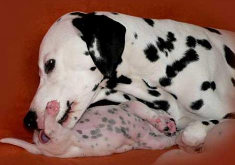 fürsorgliche Mama Jameela!