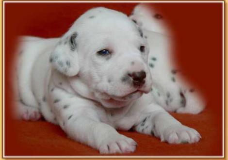 Nepal vom Teutoburger Wald