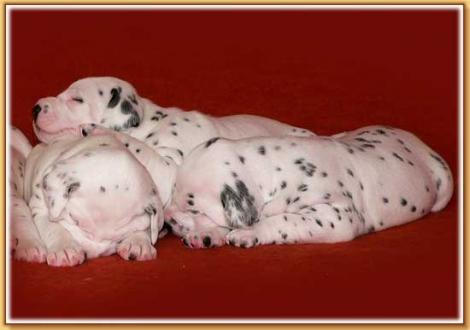 Nepal, Nirvana & Nabuka vom Teutoburger Wald